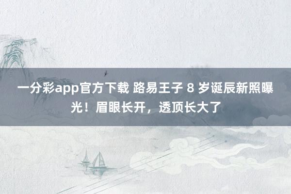 一分彩app官方下载 路易王子 8 岁诞辰新照曝光！眉眼长开，透顶长大了