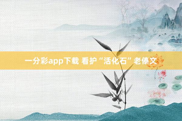 一分彩app下载 看护“活化石”老傣文