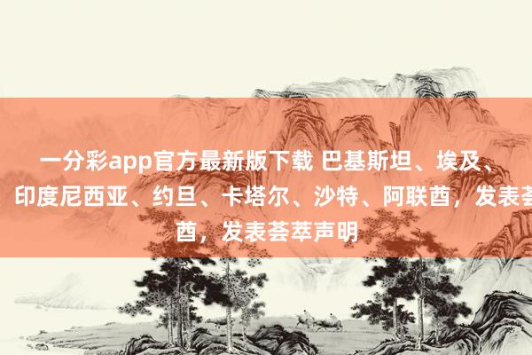 一分彩app官方最新版下载 巴基斯坦、埃及、土耳其、印度尼西亚、约旦、卡塔尔、沙特、阿联酋，发表荟萃声明