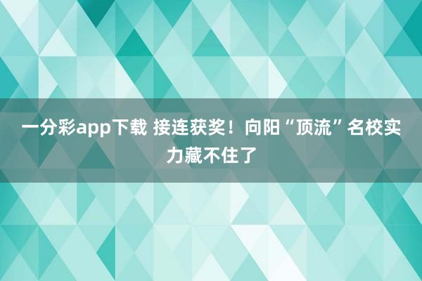 一分彩app下载 接连获奖！向阳“顶流”名校实力藏不住了