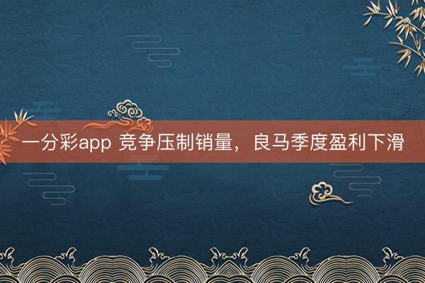 一分彩app 竞争压制销量，良马季度盈利下滑